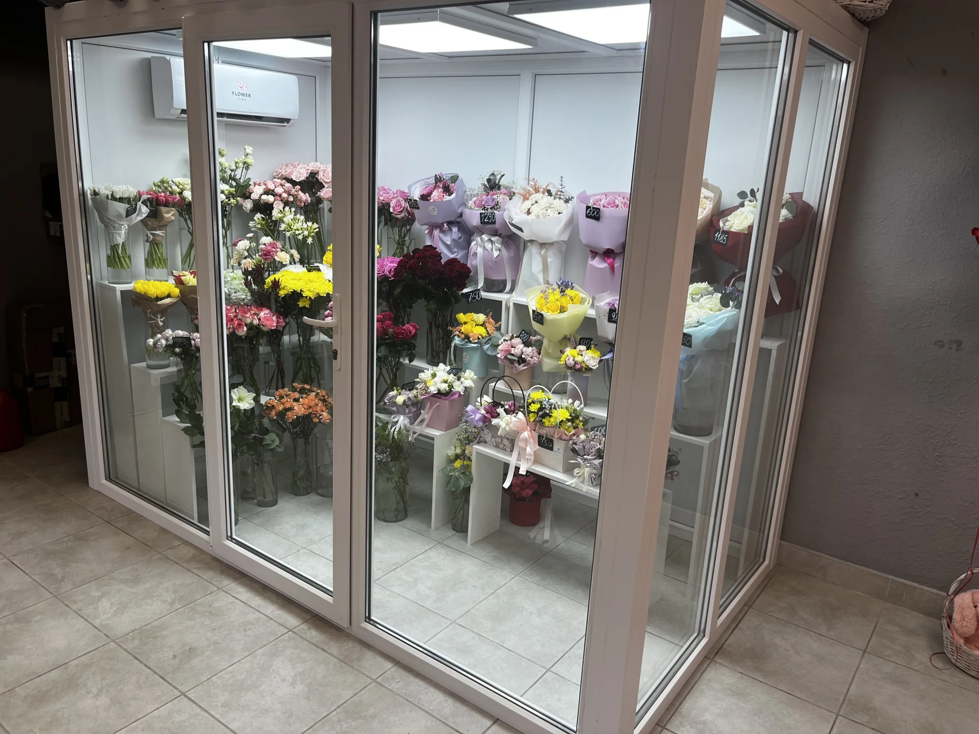 Професійний квіткова вітрина від Flower Clima