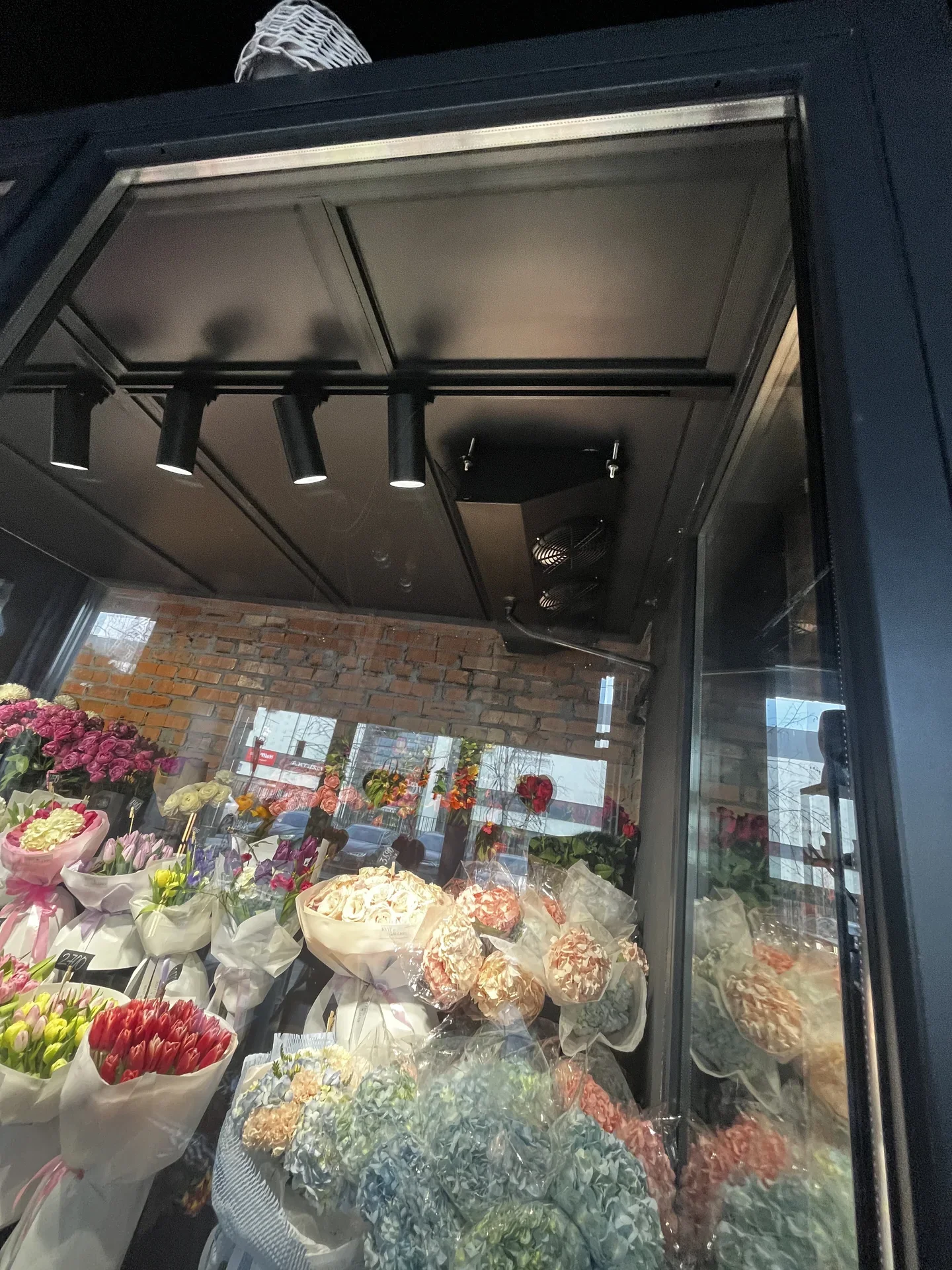 Холодильник для квітів FLOWER CLIMA (Чорна матова) — фото